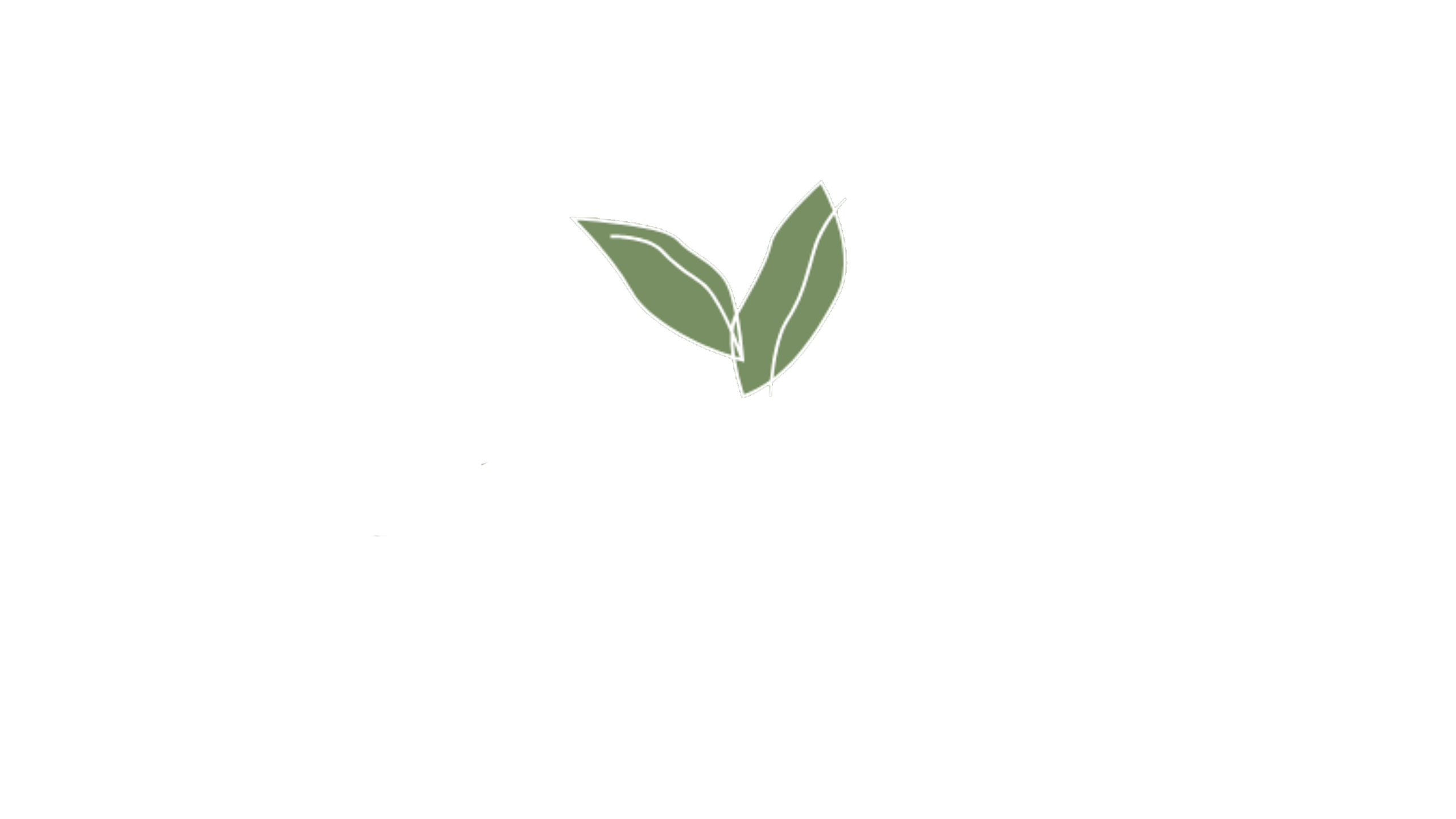 Alojamientos Louro